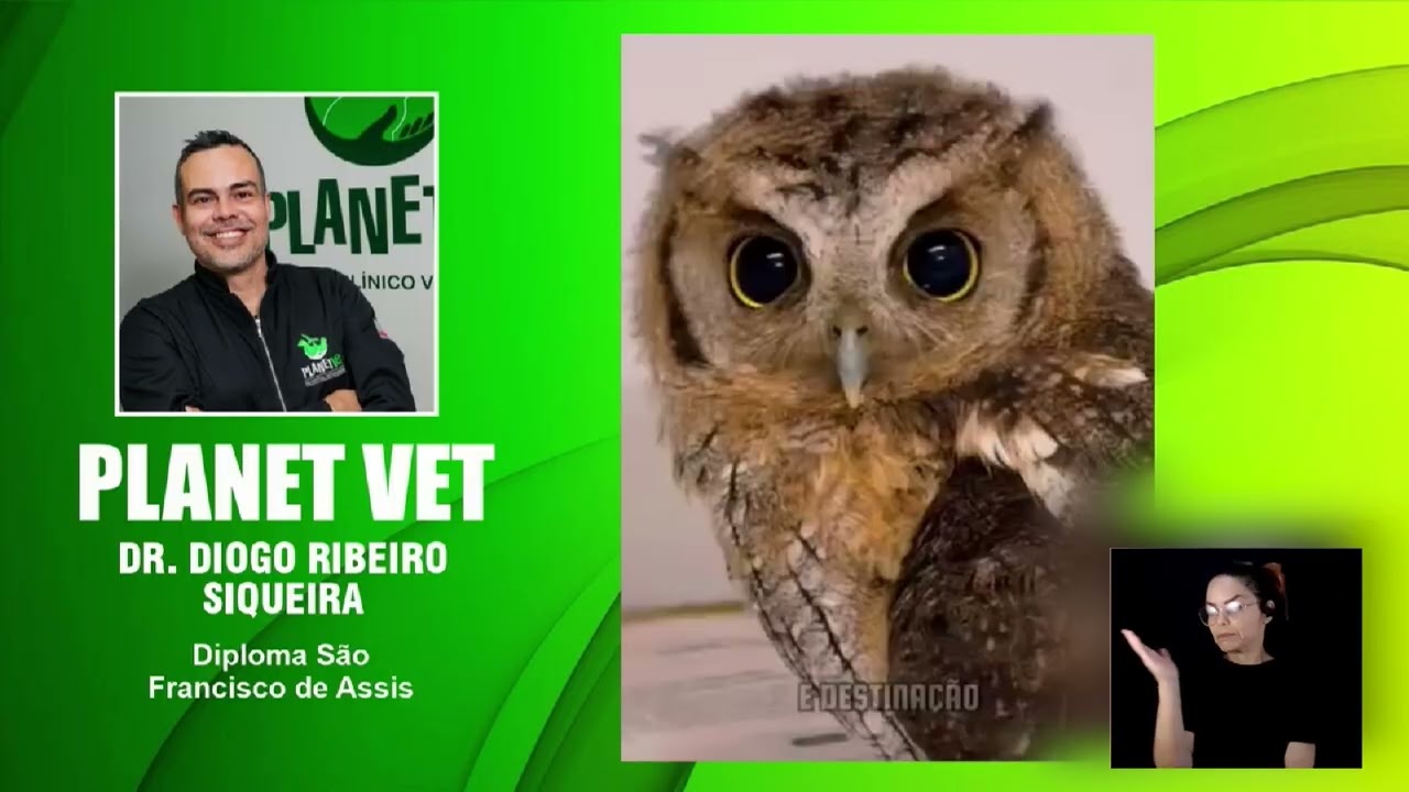 Homenageados recebem diploma e medalha durante a 84ª Reunião Solene da Câmara Municipal de Campinas, TV Câmara Campinas